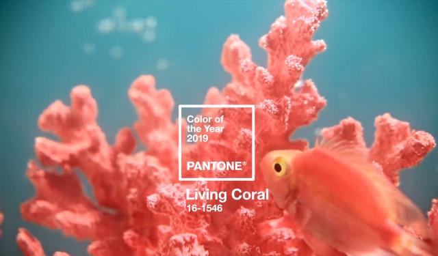Metropolitan adv - Living Coral è il colore dell'anno